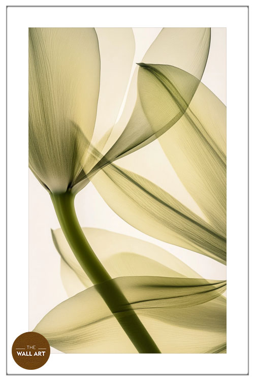images/products/transparent_leaves_ii/transparent_leaves II_WHITE_PWB.jpg
